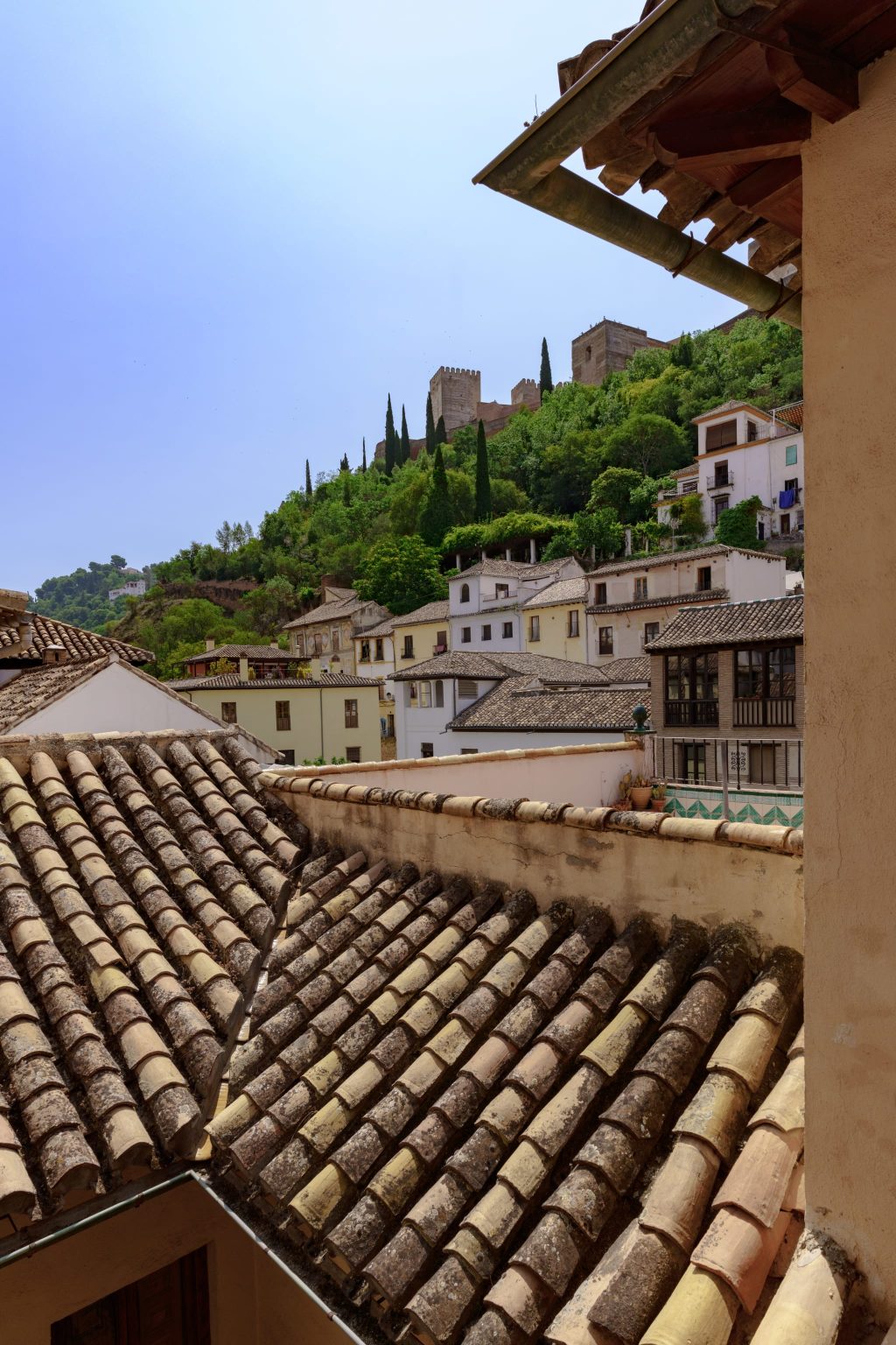 zbxycz0sognf4o7gucjd scaled